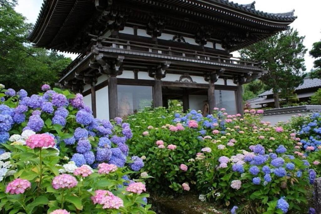 Sanzen Ya Kyoto さんぜんやきょうと- Cozy Art Space For Lover Of Travel - Exterior foto