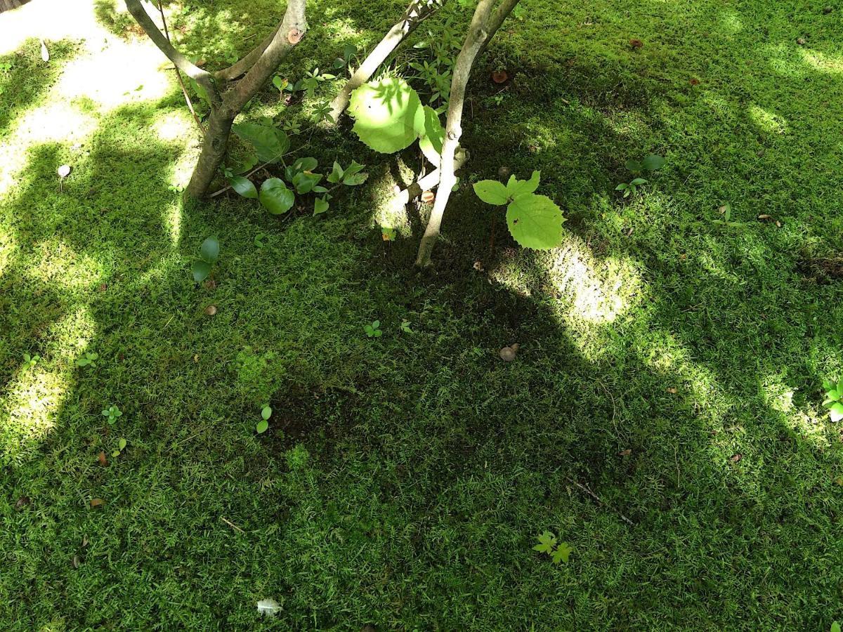 Sanzen Ya Kyoto さんぜんやきょうと- Cozy Art Space For Lover Of Travel - Exterior foto