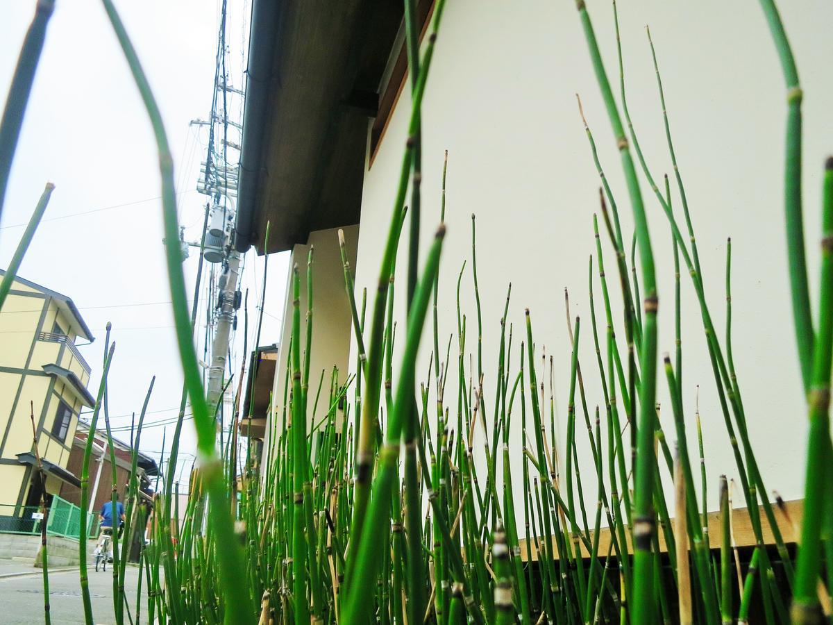 Sanzen Ya Kyoto さんぜんやきょうと- Cozy Art Space For Lover Of Travel - Exterior foto